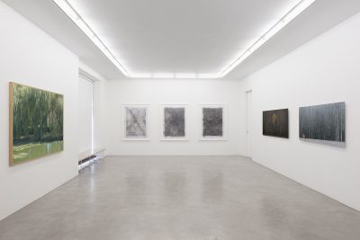 Antti Laitinen: Wanderer
6 – 30 Jun 2024
installation view
Photo: Jussi Tiainen